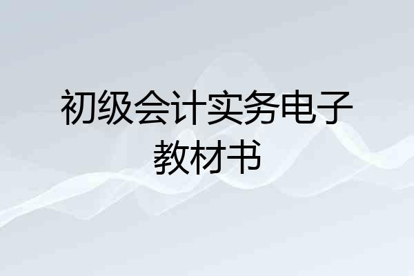 初级会计实务电子教材书