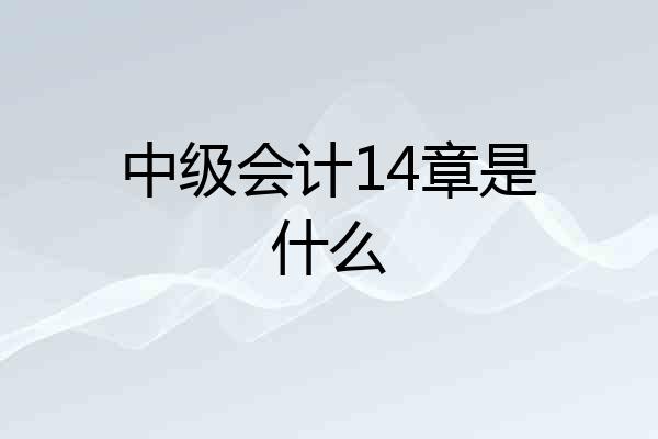中级会计14章是什么