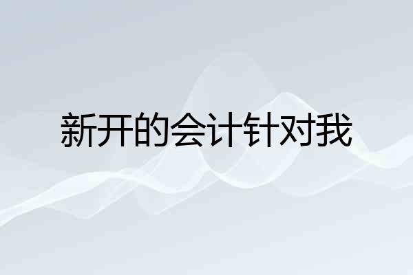 新开的会计针对我