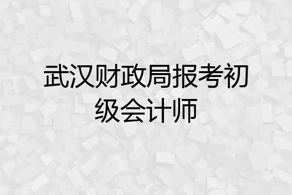 武汉财政局报考初级会计师