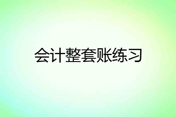 会计整套账练习
