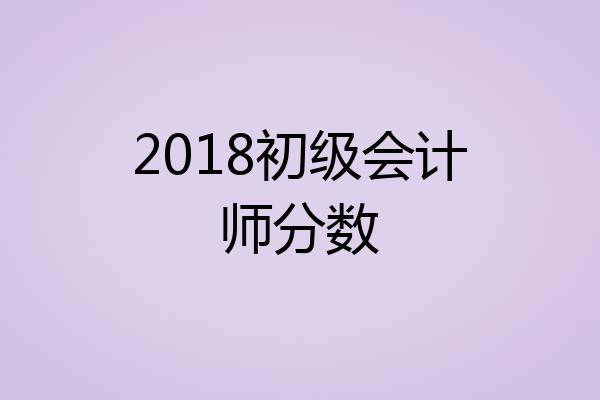 2018初级会计师分数
