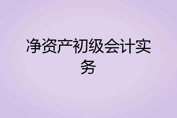 净资产初级会计实务