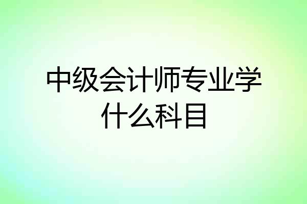中级会计师专业学什么科目