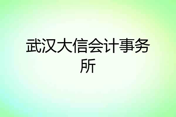 武汉大信会计事务所