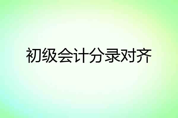 初级会计分录对齐