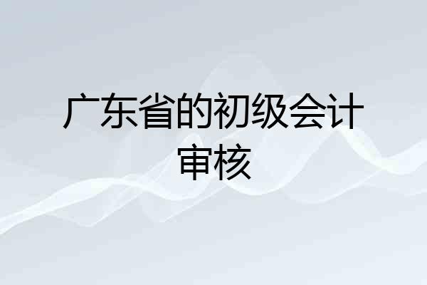 广东省的初级会计审核