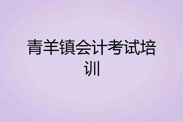 青羊镇会计考试培训