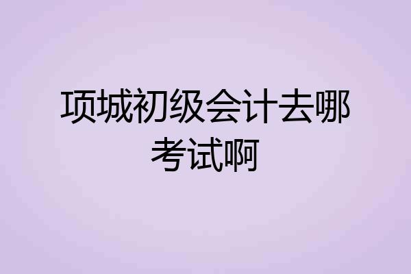 项城初级会计去哪考试啊