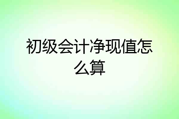 初级会计净现值怎么算