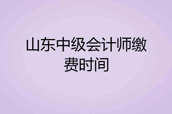 山东中级会计师缴费时间