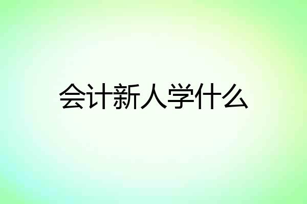 会计新人学什么