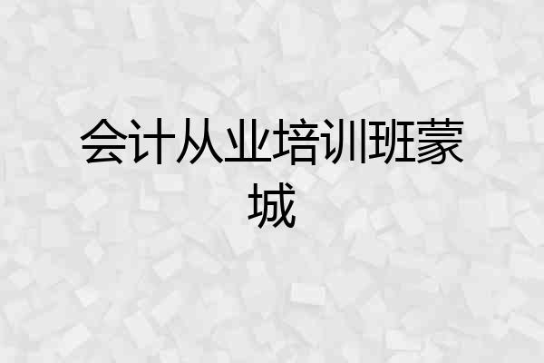 会计从业培训班蒙城