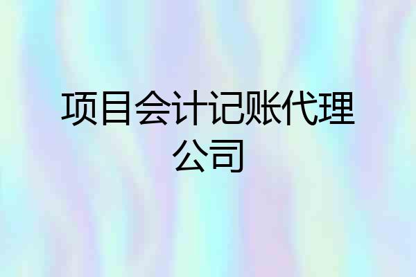 项目会计记账代理公司