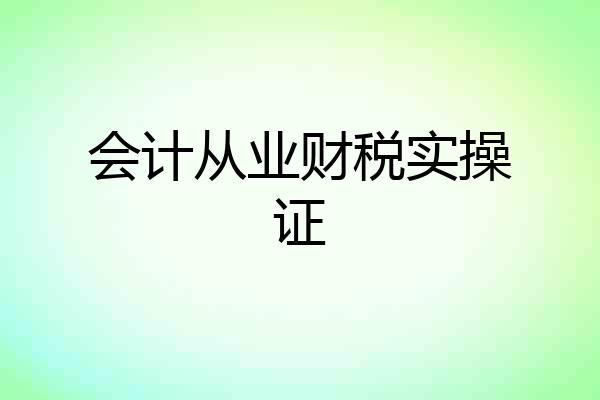 会计从业财税实操证