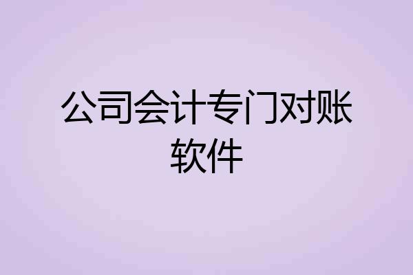 公司会计专门对账软件