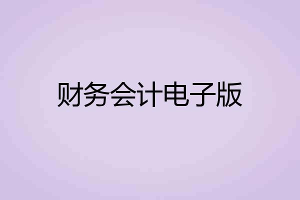 财务会计电子版