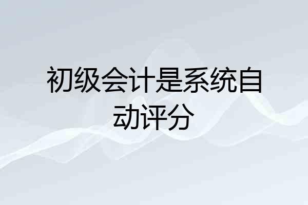 初级会计是系统自动评分