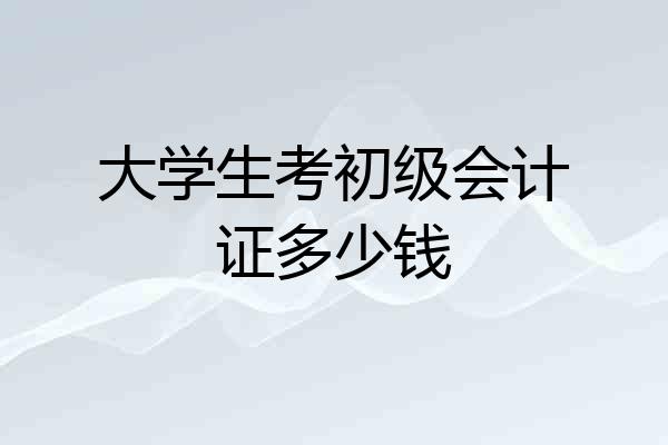 大学生考初级会计证多少钱