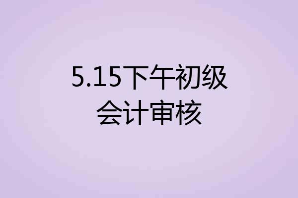 5.15下午初级会计审核
