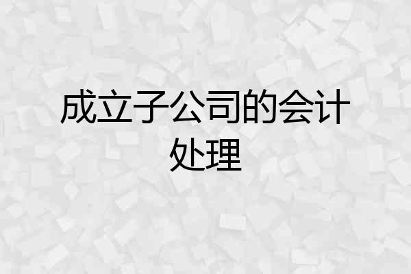 成立子公司的会计处理