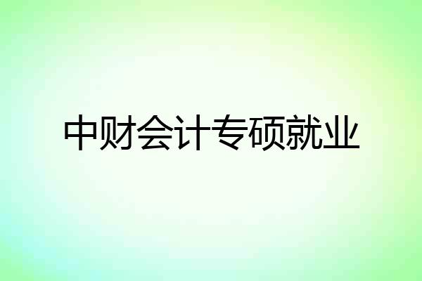 中财会计专硕就业