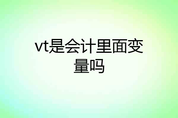 vt是会计里面变量吗