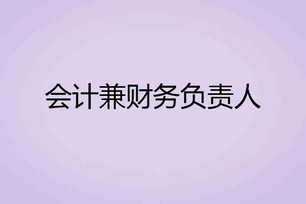 会计兼财务负责人