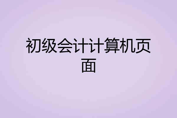 初级会计计算机页面