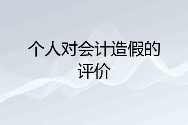 个人对会计造假的评价