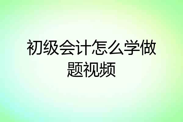 初级会计怎么学做题视频