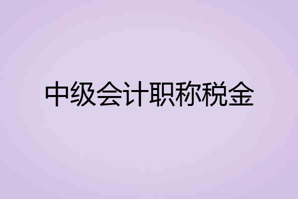 中级会计职称税金
