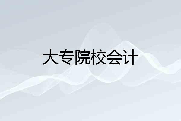 大专院校会计