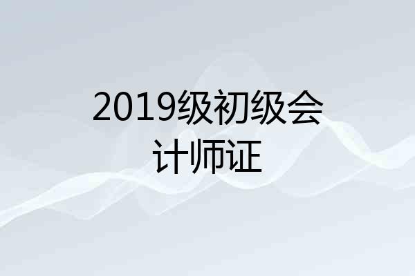 2019级初级会计师证