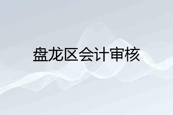 盘龙区会计审核