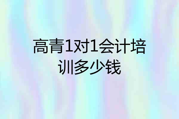 高青1对1会计培训多少钱