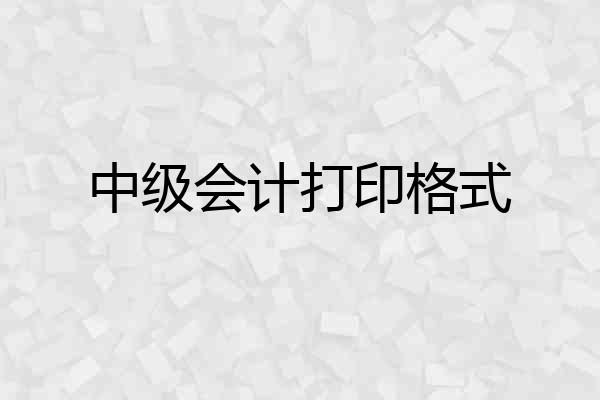中级会计打印格式