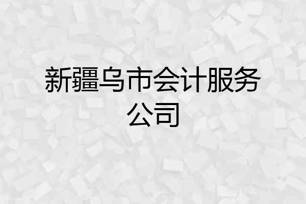 新疆乌市会计服务公司