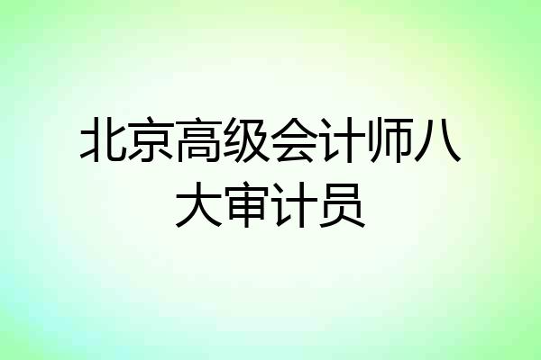 北京高级会计师八大审计员