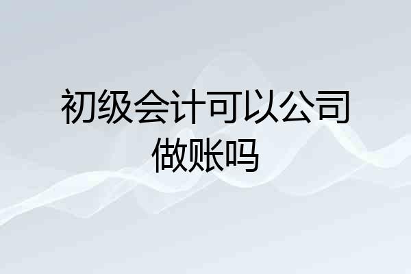 初级会计可以公司做账吗