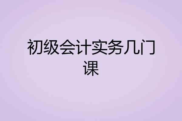 初级会计实务几门课
