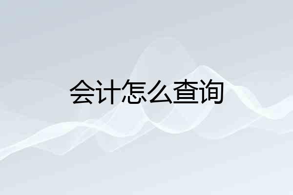 会计怎么查询