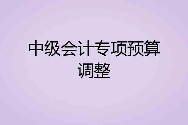 中级会计专项预算调整