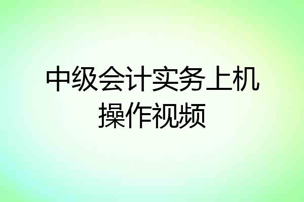 中级会计实务上机操作视频