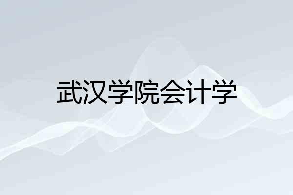 武汉学院会计学
