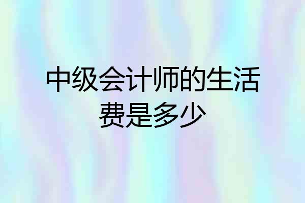 中级会计师的生活费是多少