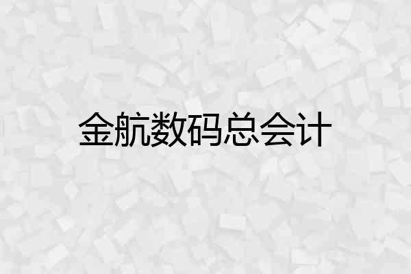 金航数码总会计