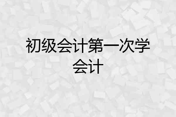 初级会计第一次学会计