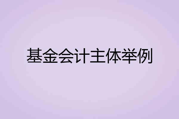 基金会计主体举例
