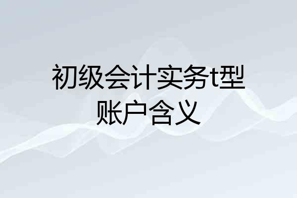 初级会计实务t型账户含义